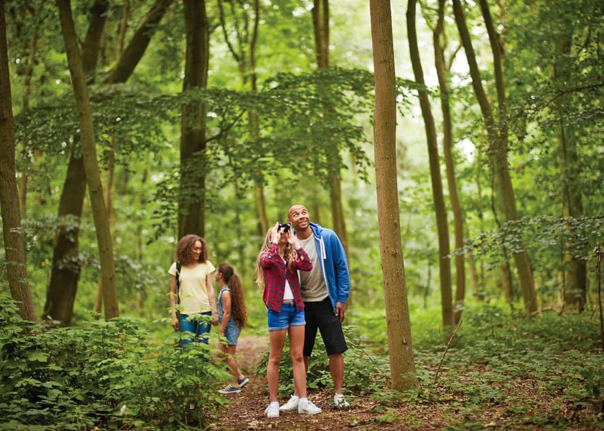 וודהול ספא Woodhall Country Park Lodges מראה חיצוני תמונה