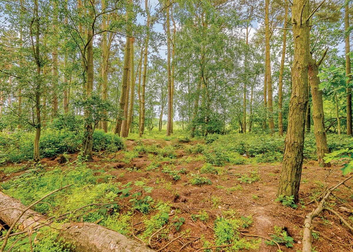 וודהול ספא Woodhall Country Park Lodges מראה חיצוני תמונה
